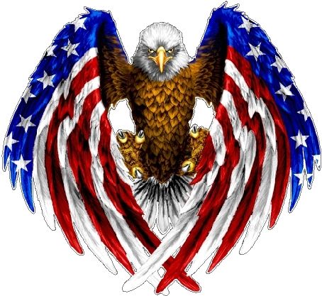 American Flag Eagle Wings