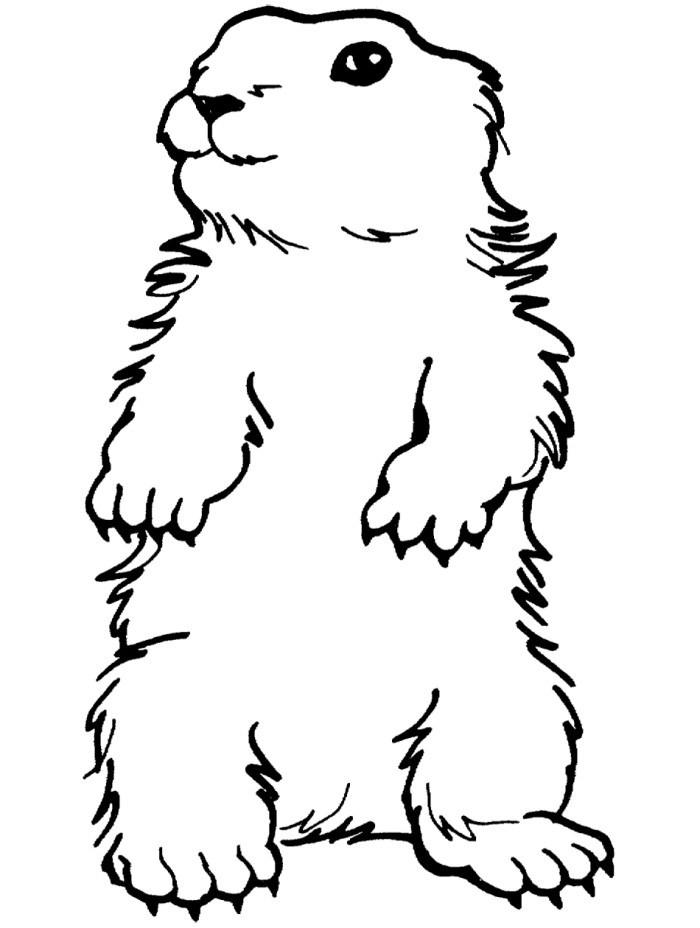 Groundhog Day Coloring Pages - Groundhog Day Cartoon Coloring ...