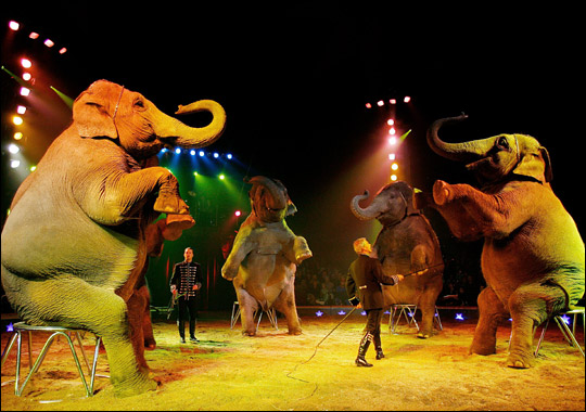 Writers On The Web: Ringleading Your Circus in Pre-Production ...