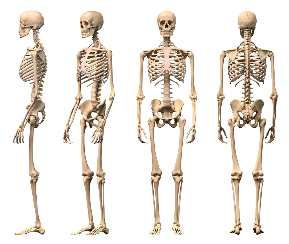 How old are YOUR bones? | whatsupwithyourhealth.wordpress.com