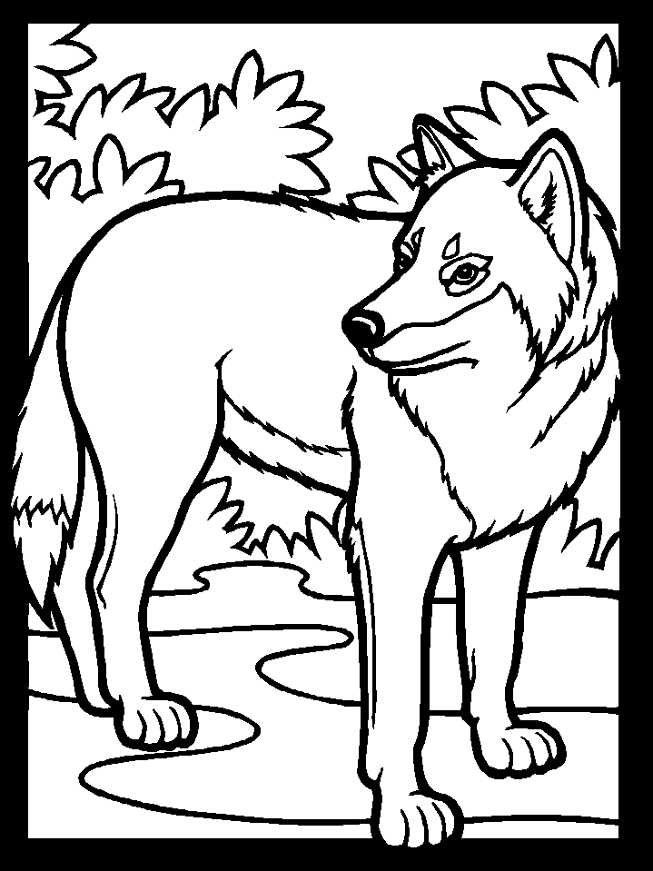 Pictures of animals to color and print |coloring pages for adults ...