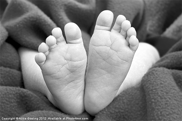 Baby Feet Canvas Prints, Box Framed Prints, Wall Art