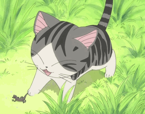 anime cat gif - Google Search | gif2 | Pinterest