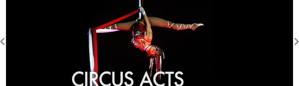 Circus Acts - Entertainment - Circus Circus Las Vegas Hotel & Casino