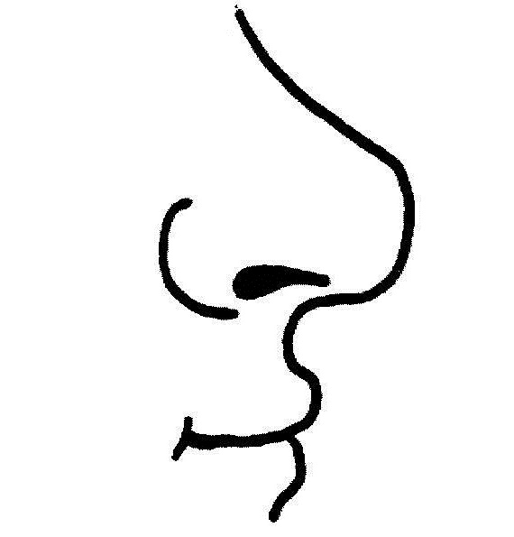 Human Nose Clipart Black And White | Clipart Panda - Free Clipart ...