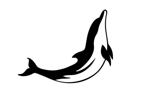 Black n White Dolphin Tattoo Design | Tattoobite.com