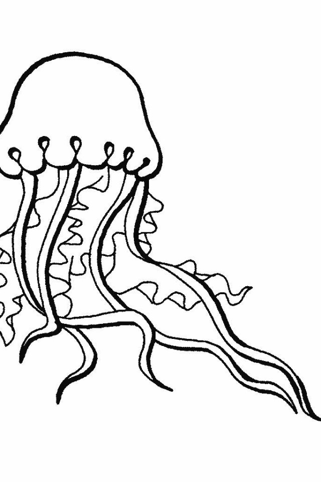 Coloring Pages Of Ocean Animal | download free printable coloring ...