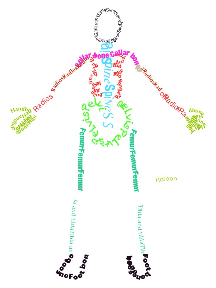 TypeDrawing app with skeletons | HUMAN BODY UNIT - CUERPO HUMANO - LE…