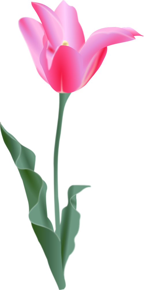 OnlineLabels Clip Art - Tulip