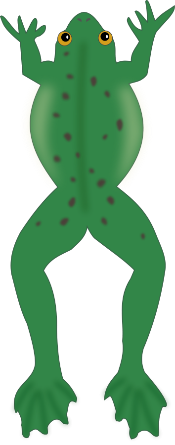 frosch_Vector_Clipart.png