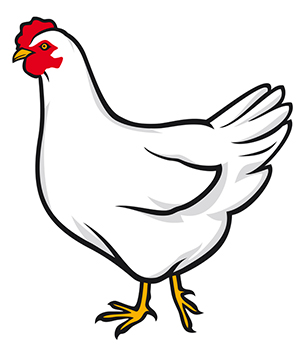 Chicken Drawing Outline - Gallery