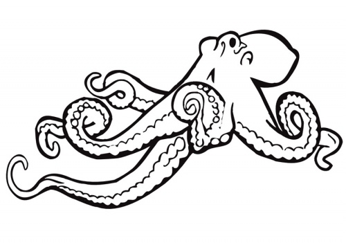 Nice line drawing - possible tattoo outline | octopus motif ...