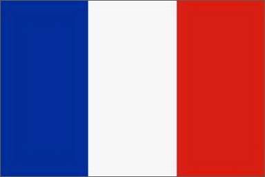 Image - France flag.jpg - Walking Dead Wiki