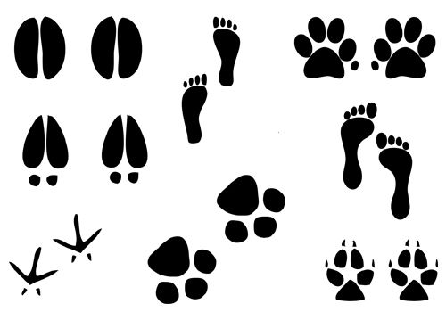 Foot Silhouette Vector illustration of humans, dog paw, cat paw ...