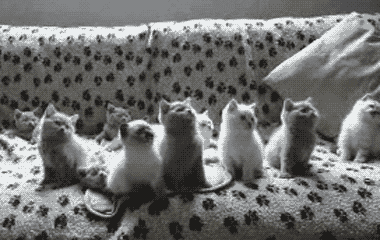 That moment when two people are fighting and no one tries to stop ...