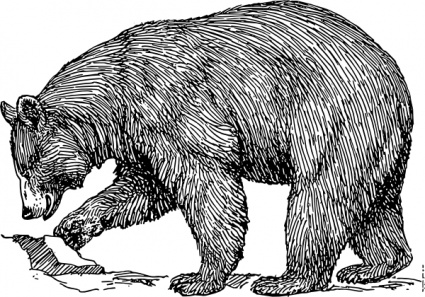 Download Black Bear clip art Vector Free