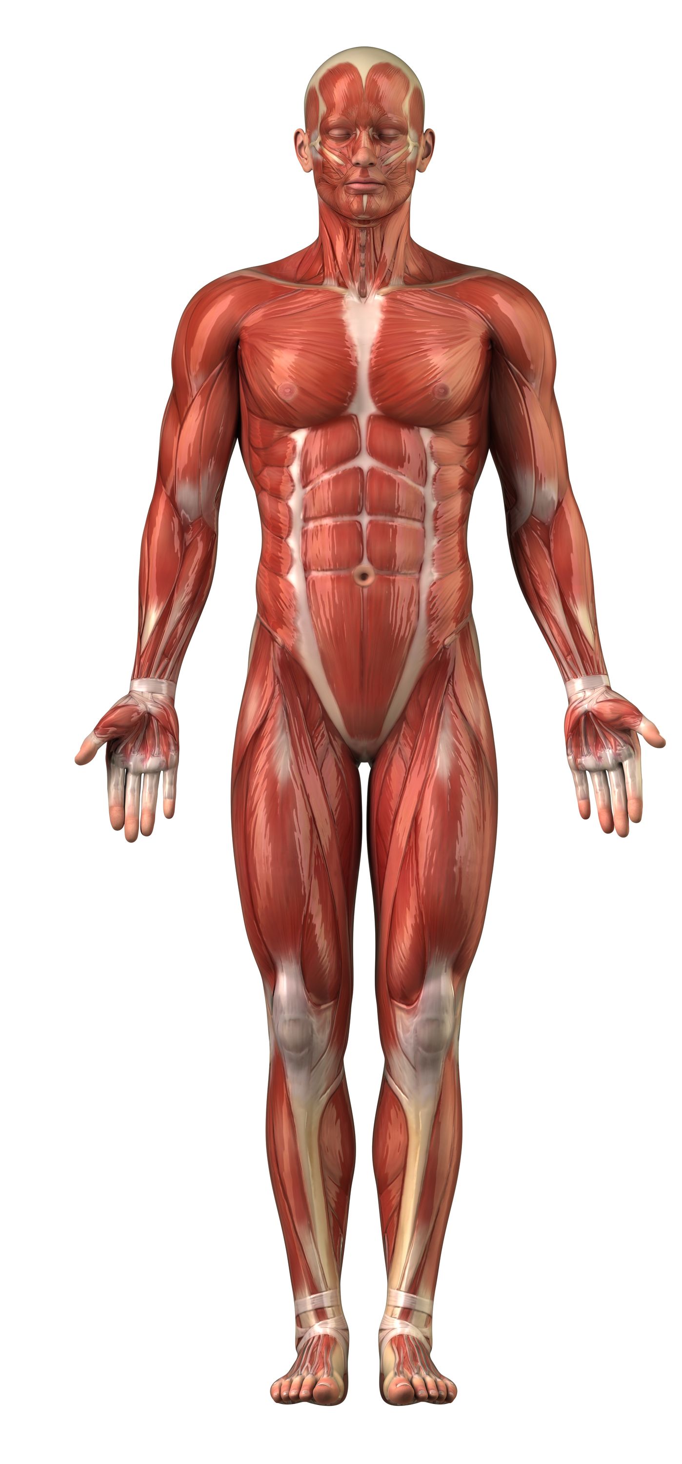 What causes leg cramps and what remedies are there? |
