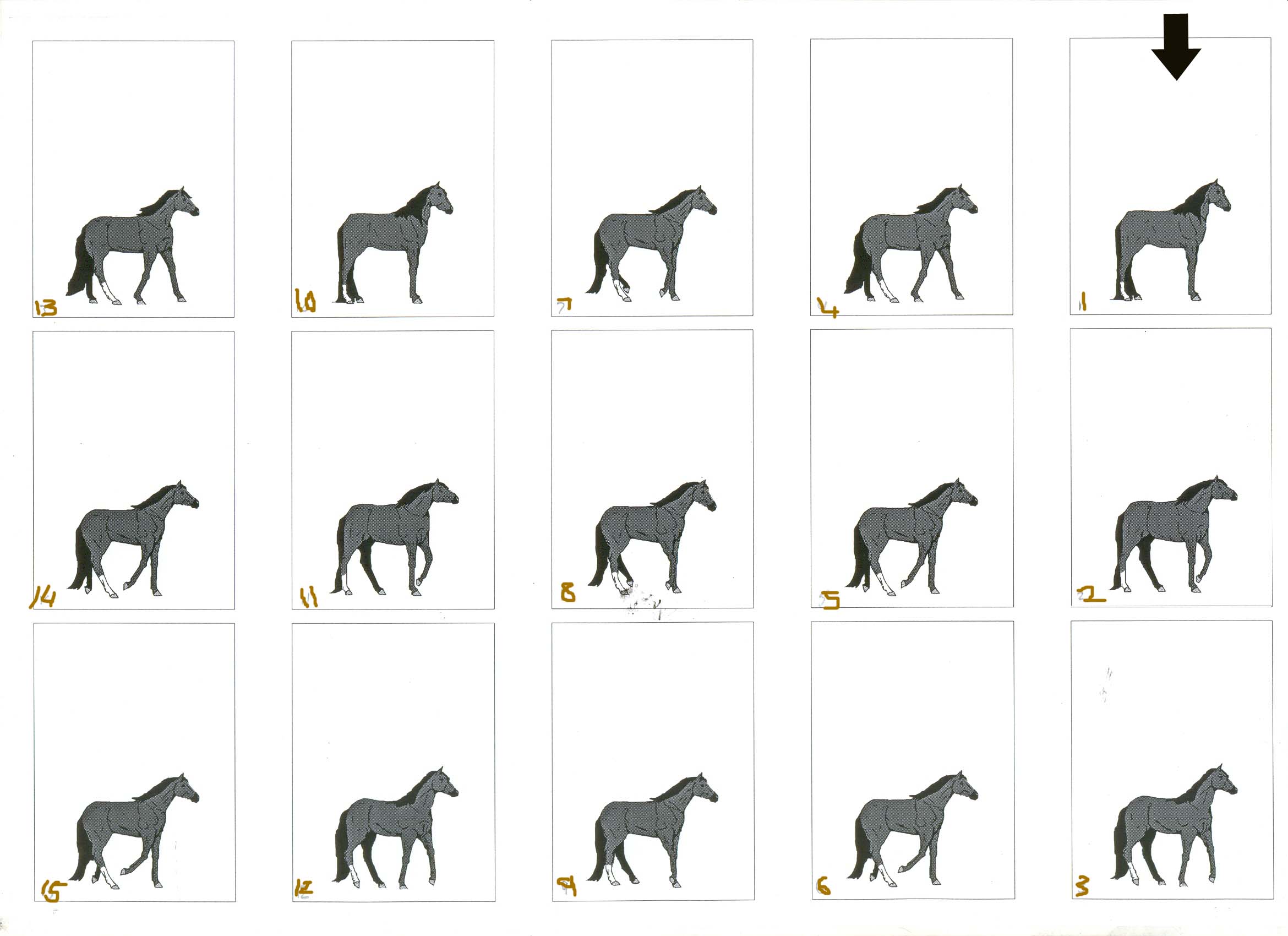 animated horse...storyboard by esonf60 on DeviantArt
