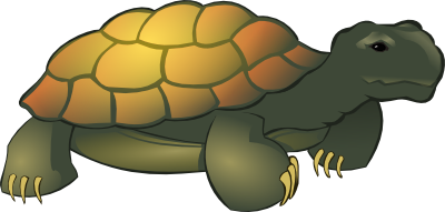 tortoise-clipart-9TRyEeaTe.png