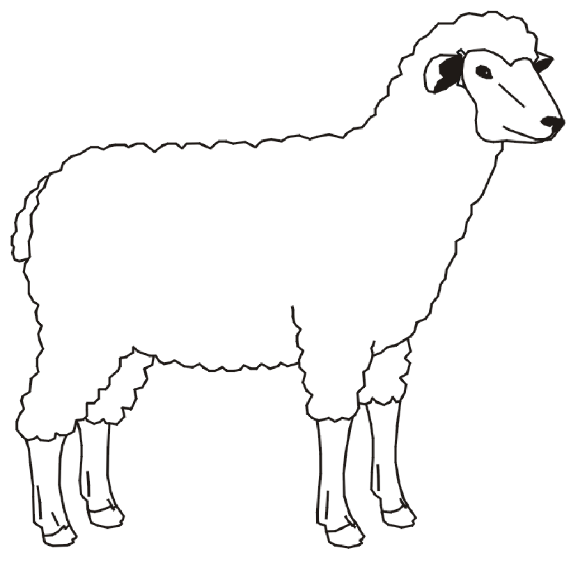Baby Farm Animals Coloring Tattoo