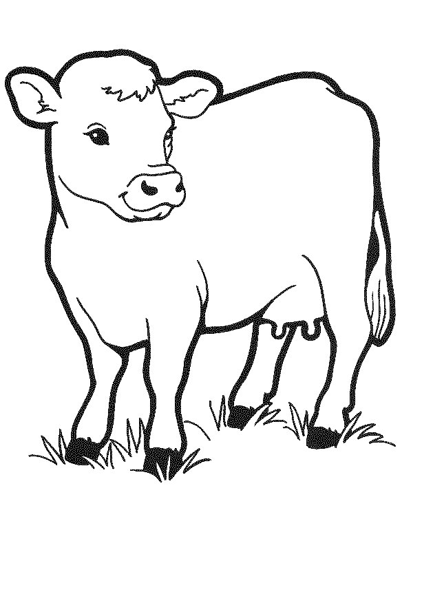 Hot cow baby Colouring Pages