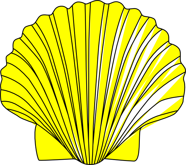 Shell clip art - vector clip art online, royalty free & public domain