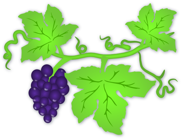 Grape Vine Clip Art - ClipArt Best