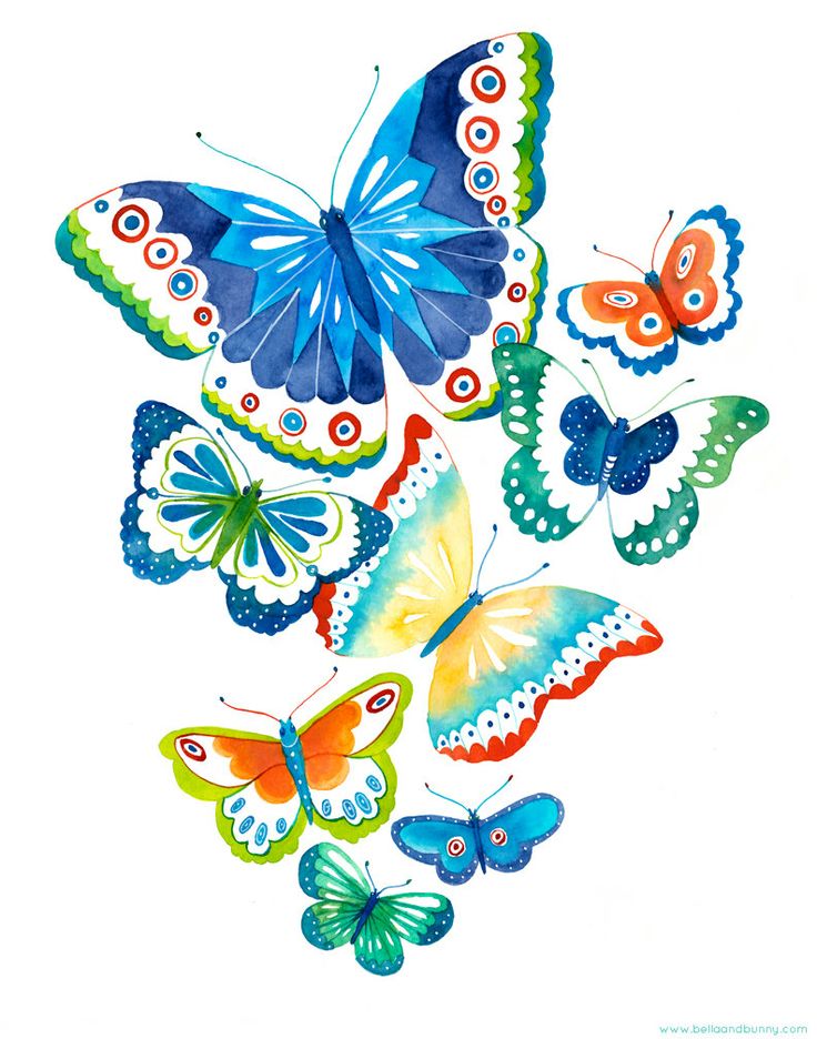 Butterfly | ~Butterflies & Dragonflies~ | Pinterest