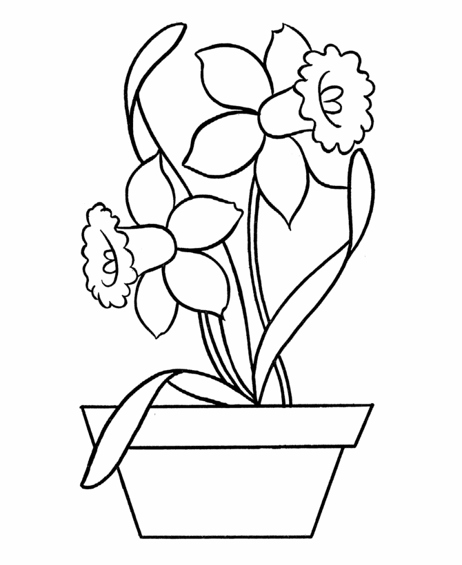Coloring Pictures Of Daffodils - ClipArt Best