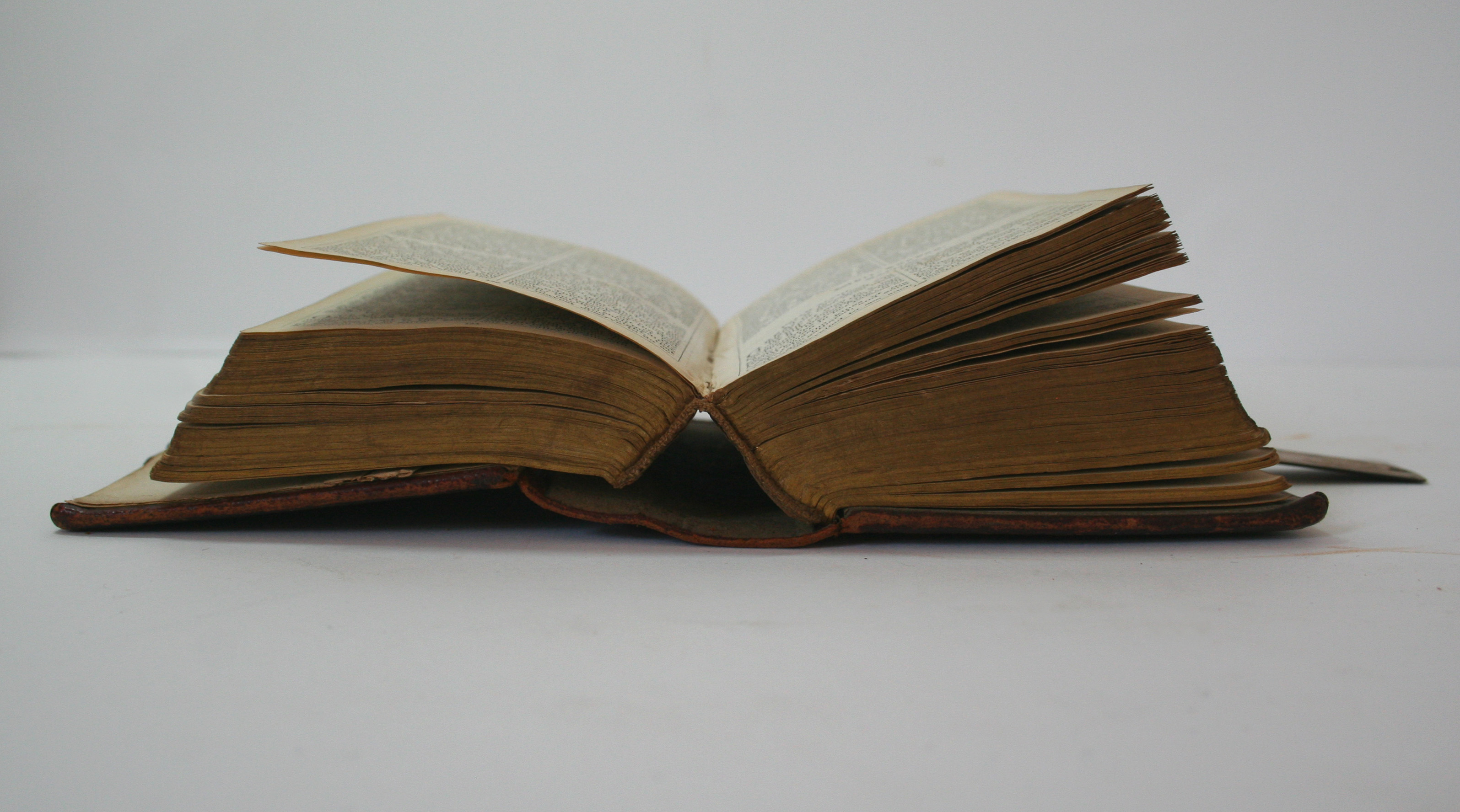 Shakeisms: Closing the Open Book | The Natural Vicarious Fold of ...