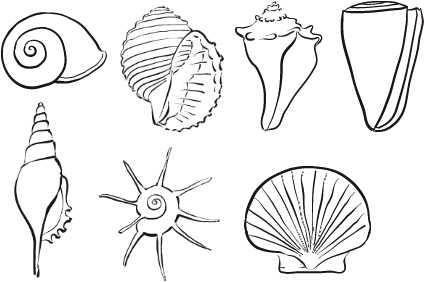 Seashell outlines | Painting inspiration | Pinterest