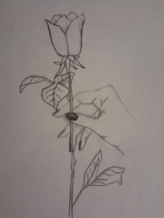 Rose Line Drawing by Soniall on DeviantArt