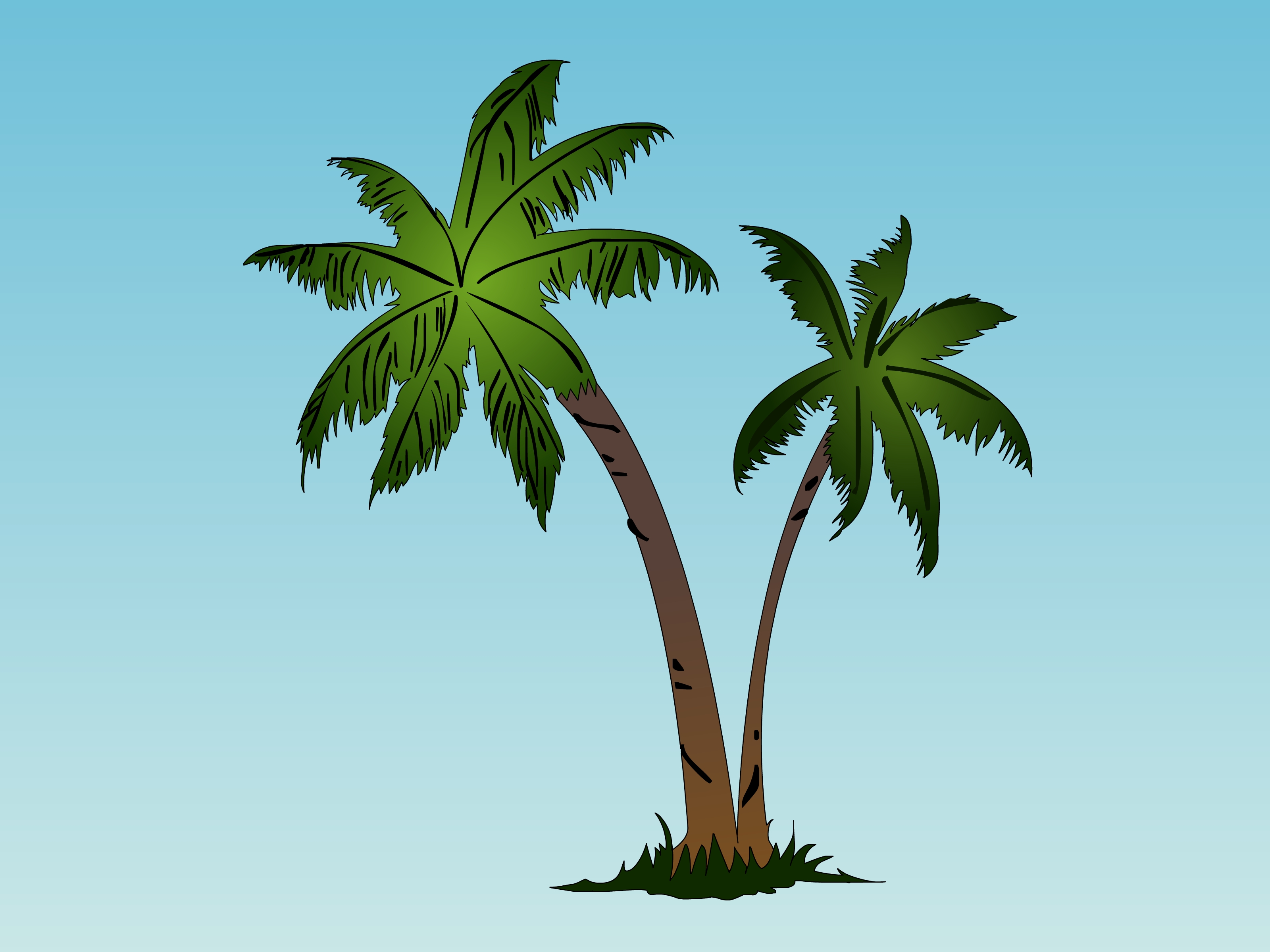 Palm Tree Sketch Draw A Palm Tree Step Version Best Design Cartoon ...