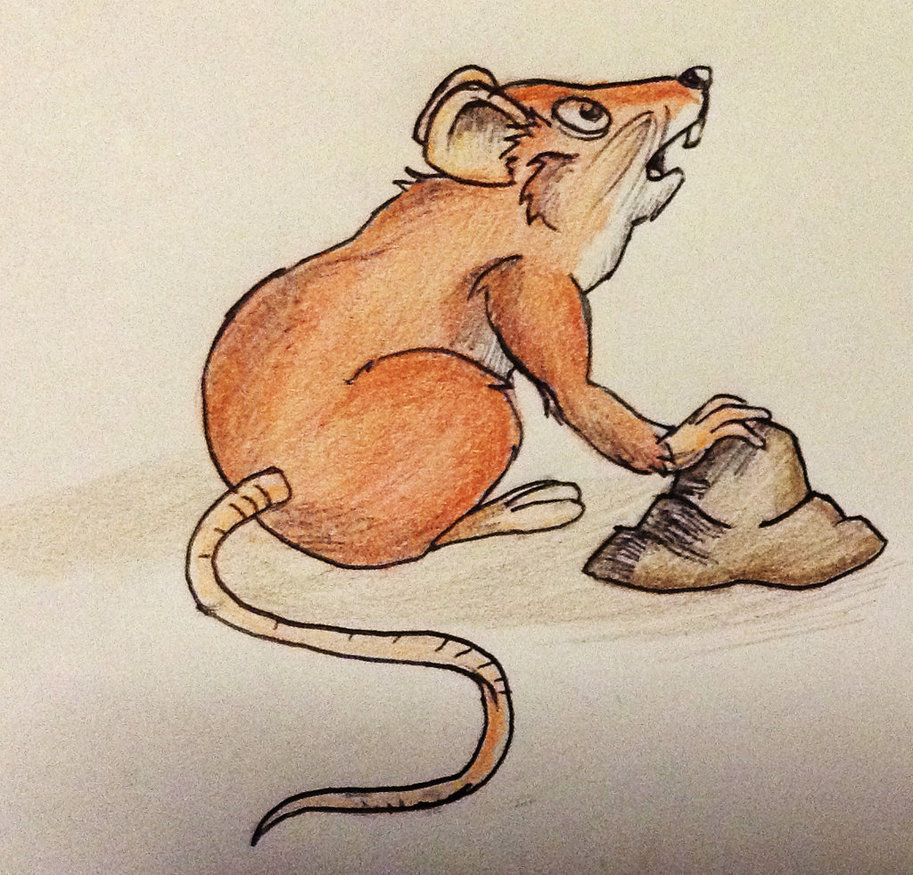 Coloured Field Mouse Cartoon by Novum-Semita on DeviantArt