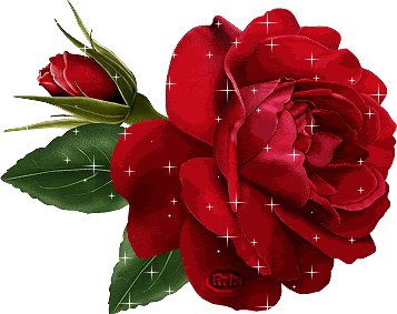 Sparkle Glitter Rose Flower gif by angel_girl_914 | Photobucket