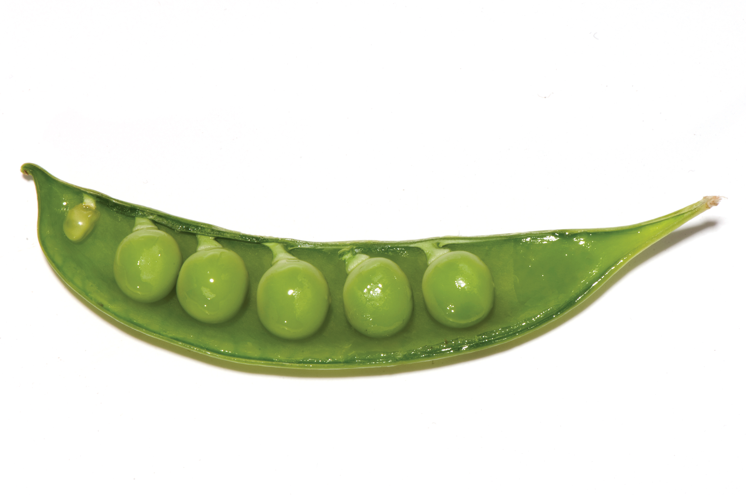 Peapod