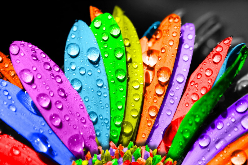 Graphic Designing | Custom Designs & Signs | Melbourne & Australia ...