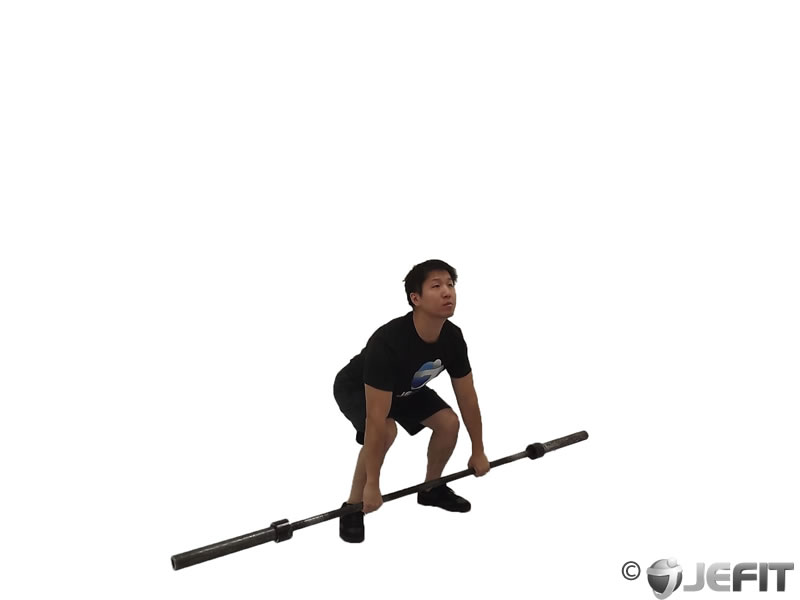 Barbell Jerk Muscles | Home Gym HQ