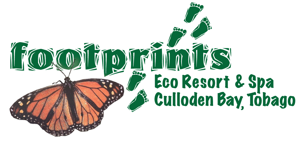 Home | Footprints Eco Resort & Spa