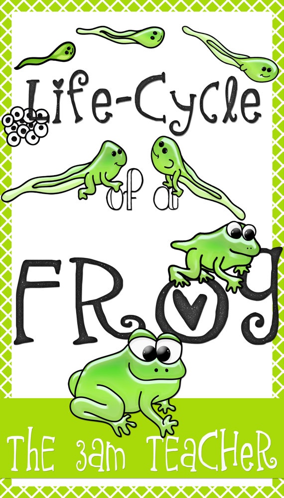 Pin by Shirley Tindall on Frogs | Pinterest