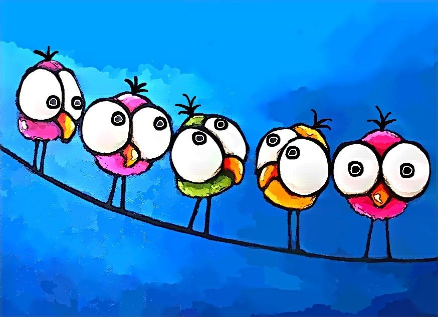 Birds | Adamsart