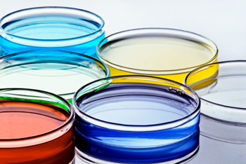 The church as petri dish | Faith & Leadership