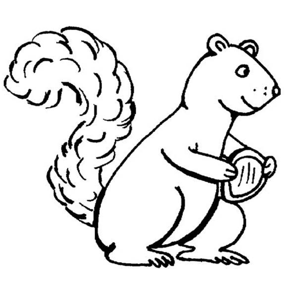 Sketch of Squirrel Coloring Page: Sketch of Squirrel Coloring Page ...