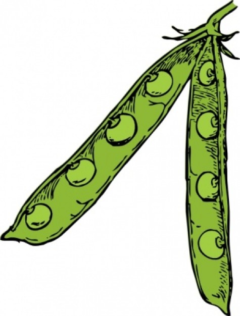 Pea Pod clip art Vector | Free Download