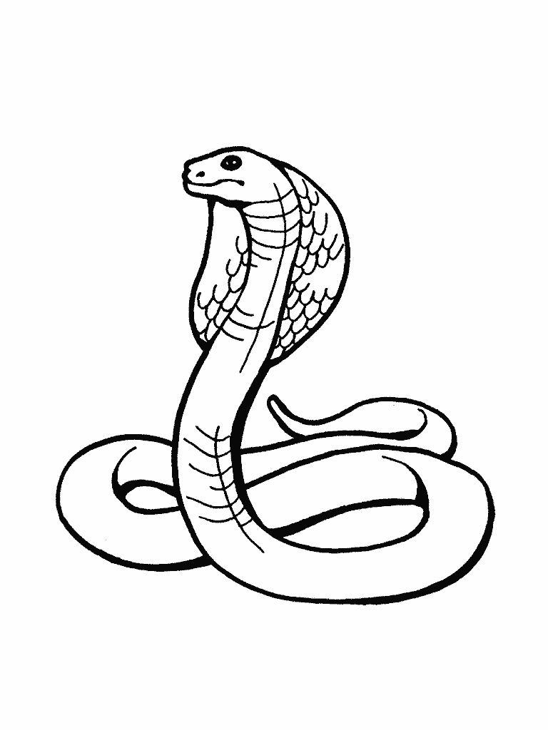 Images For > Snakes Animated