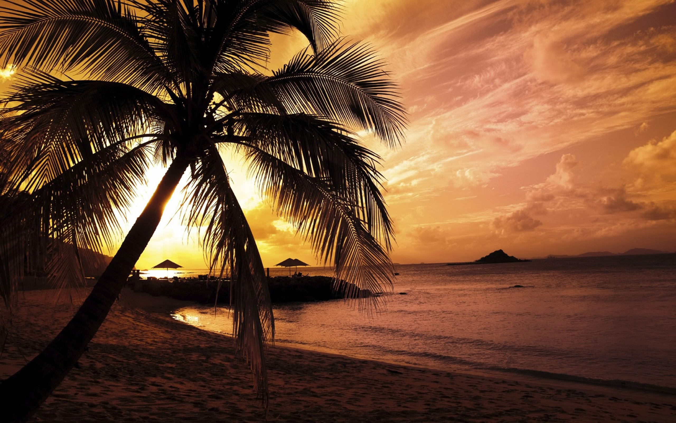 Tropical Beach HD Wallpaper Desktop #4zm > Jinqiaojs.com