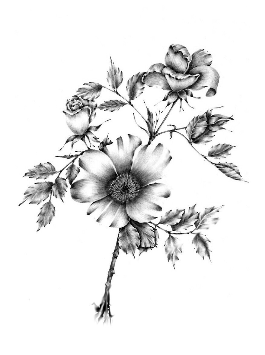 DeviantArt: More Like Floral pencil drawings by brendawatts