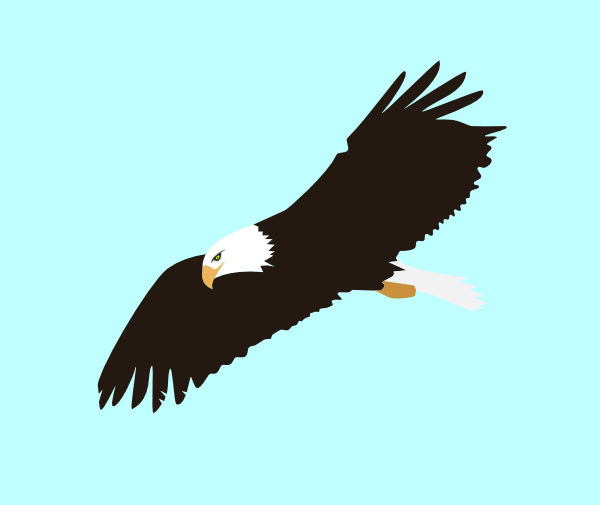 Soaring Eagle Clip Art at Clker.com - vector clip art online ...