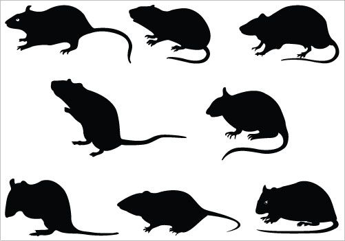 Rat Silhouette Clip Art Pack | Halloween party ideas | Pinterest