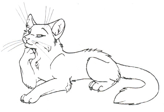 Commission - Cat Lineart by Mikaley on DeviantArt